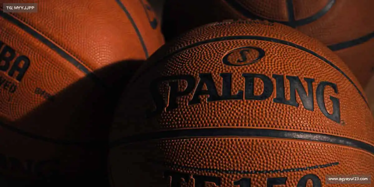 行业领先的理由